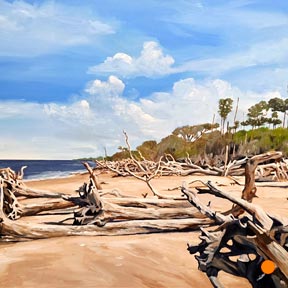 photo of driftwood on beach acrylic painting