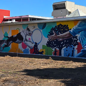 photo of dog park and neighborhood mural